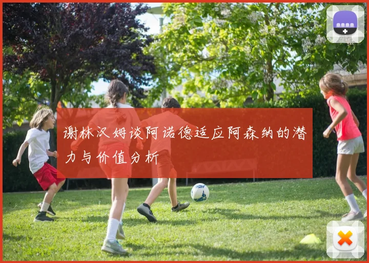 谢林汉姆谈阿诺德适应阿森纳的潜力与价值分析