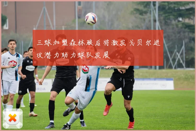 三球加盟森林狼后将激发戈贝尔进攻潜力助力球队发展