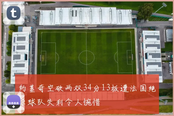 约基奇空砍两双34分13板遭法国绝杀球队失利令人惋惜